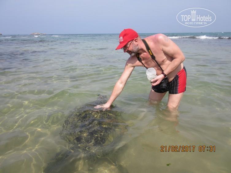 Ramon Beach Resort Ambalangoda  Zewnętrze zdjęcie